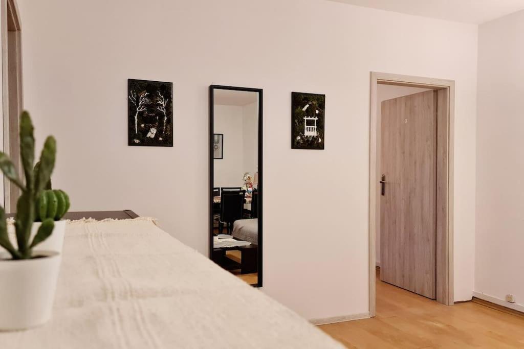 Przestronny Pokoj W Mieszkaniu Na Filipa Krakau Buitenkant foto